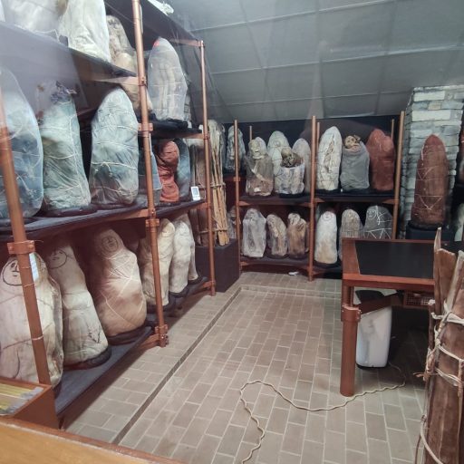 MUSEO LEYMEBAMBA2