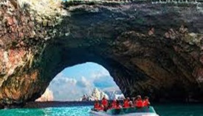 reserva de paracas